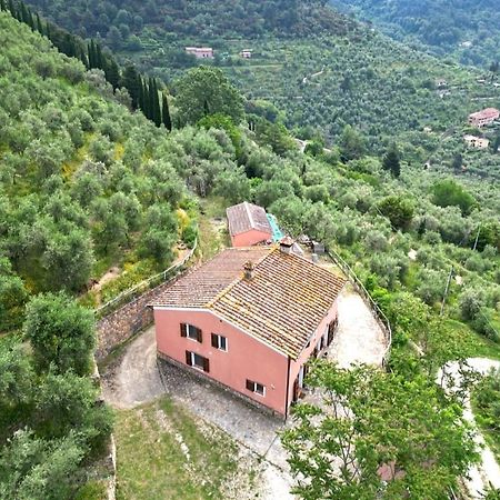 קאלצ'י Olive House Tuscany - Zona Pisa מראה חיצוני תמונה