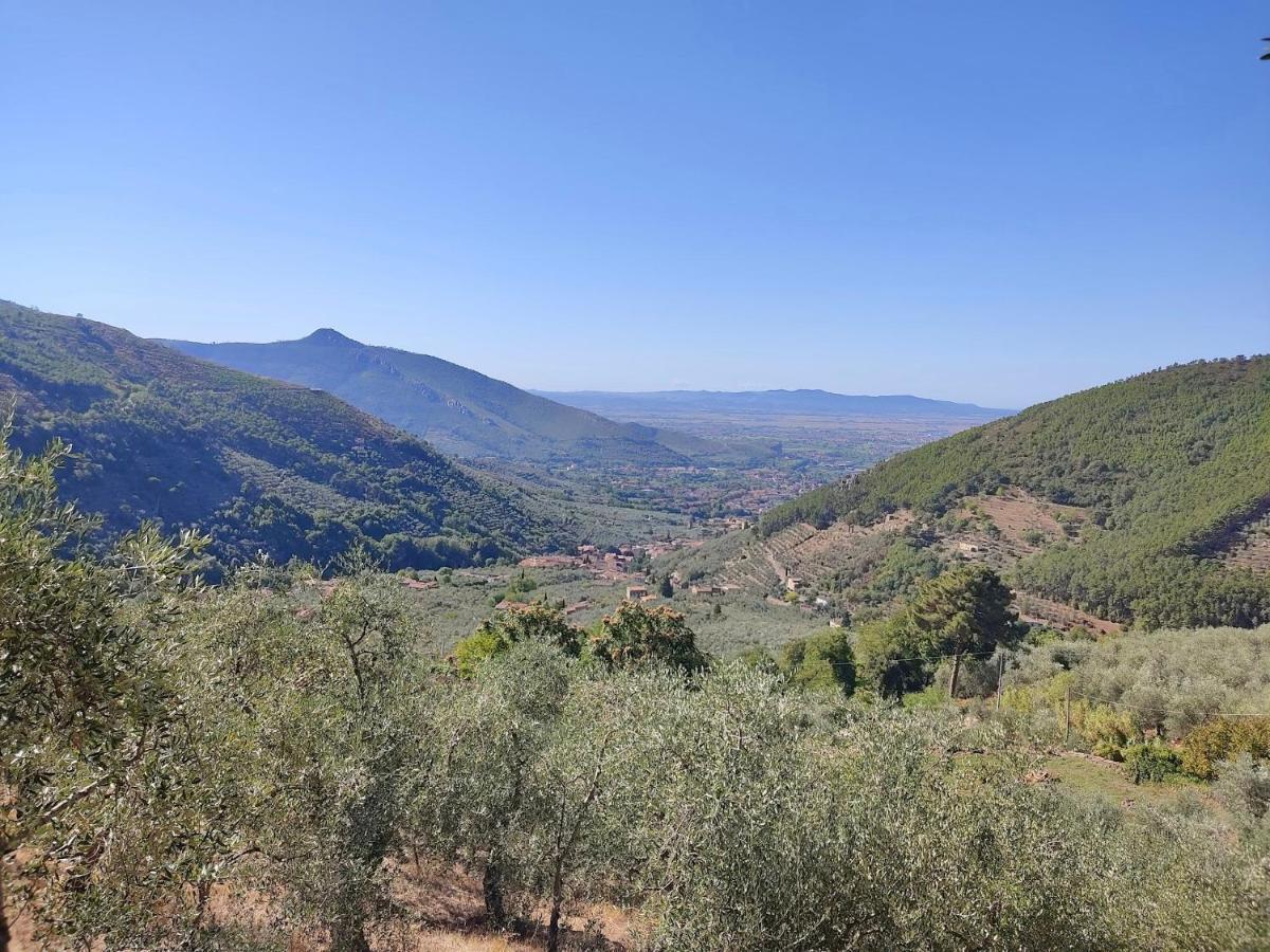 קאלצ'י Olive House Tuscany - Zona Pisa מראה חיצוני תמונה