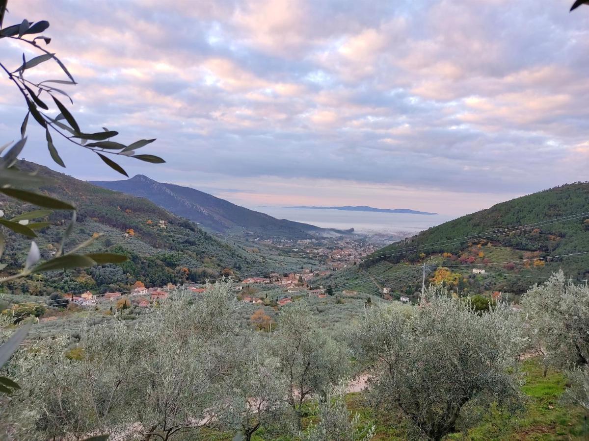 קאלצ'י Olive House Tuscany - Zona Pisa מראה חיצוני תמונה