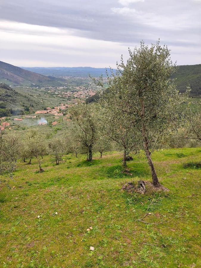 קאלצ'י Olive House Tuscany - Zona Pisa מראה חיצוני תמונה