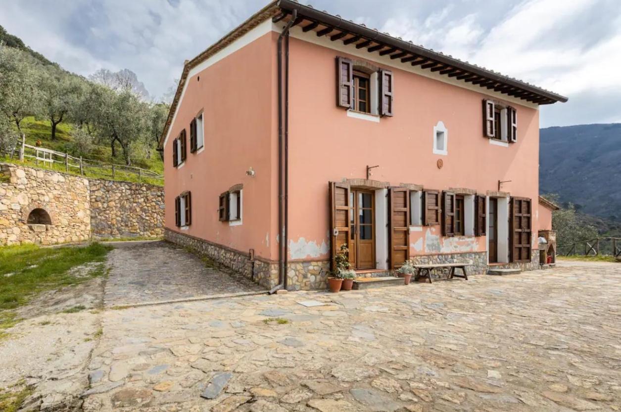 קאלצ'י Olive House Tuscany - Zona Pisa מראה חיצוני תמונה