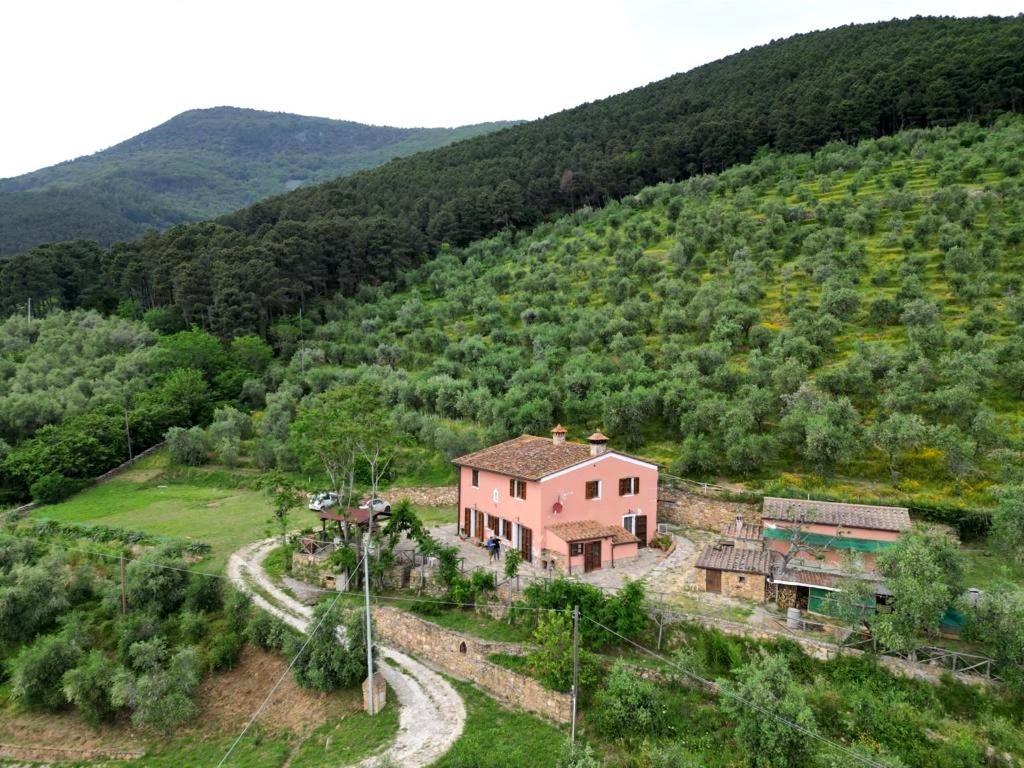 קאלצ'י Olive House Tuscany - Zona Pisa מראה חיצוני תמונה