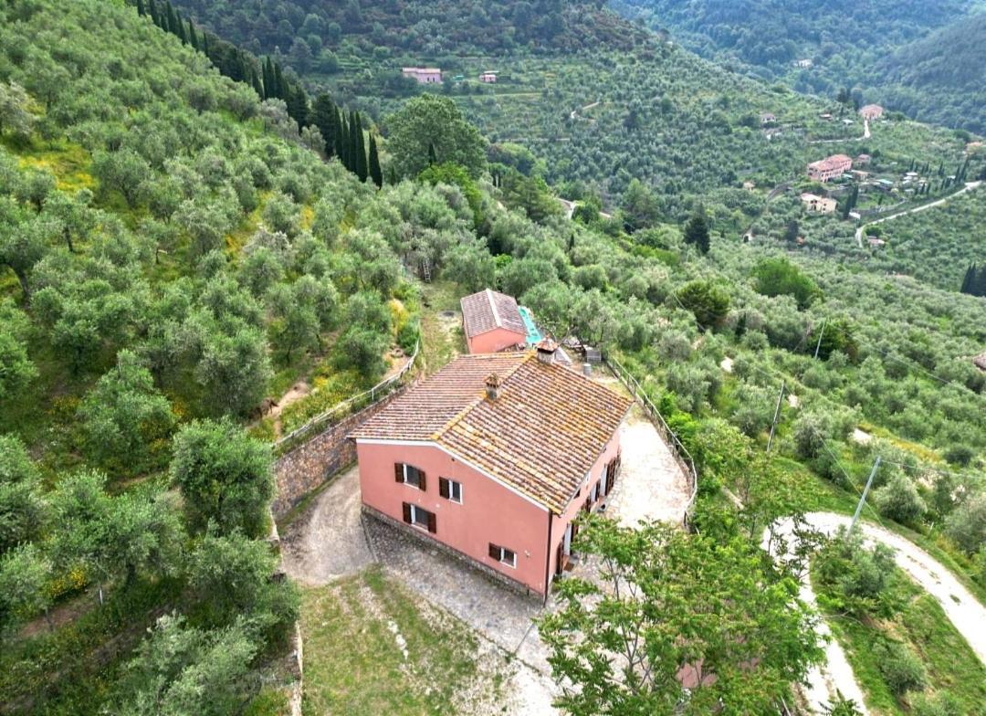 קאלצ'י Olive House Tuscany - Zona Pisa מראה חיצוני תמונה