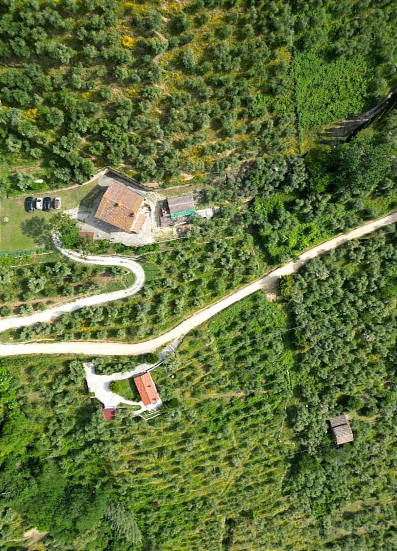 קאלצ'י Olive House Tuscany - Zona Pisa מראה חיצוני תמונה
